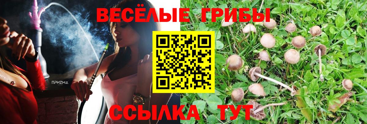 Мурманск  Галлюциногенные грибы Psilocybe  Вход с VPN 