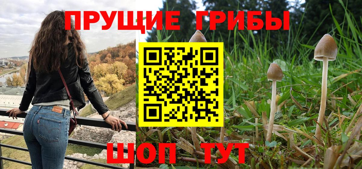 Псилоцибиновые грибы мицелий Мурманск
